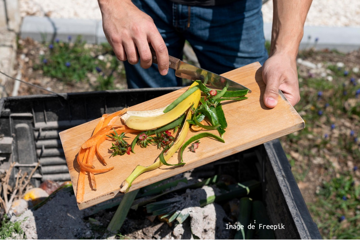 Photo épluchure dans seau 1500x1000